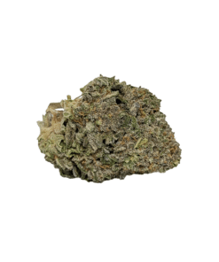 Buy AAA Amnesia Haze Sativa Cannabis Weed Bulk Sale Online
