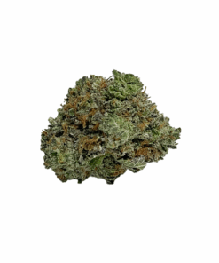 Buy AAA Bruce Banner Hybrid Cannabis Bulk Weed Deals Bulk Sale Online