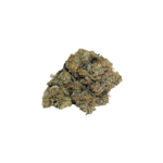 Northern Lights | AAAA+ | Indica