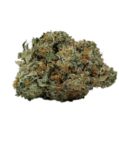 Buy Premium High Quality AAAA Tuna Kush Indica Cannabis Weed Deals Bulk Sale Online