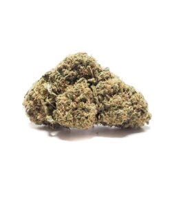 Buy Durban Poison Weed Online