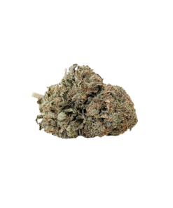 Buy AAA White Widow Hybrid Cannabis Bulk Weed Deals Sale Online