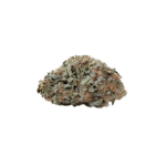 Rockstar | AAA | Indica