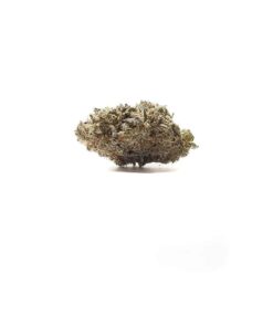 Buy Sundae Driver Weed Online