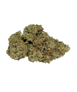 Buy AA Trainwreck Hybrid Cannabis Bulk Weed Deals Sale Online