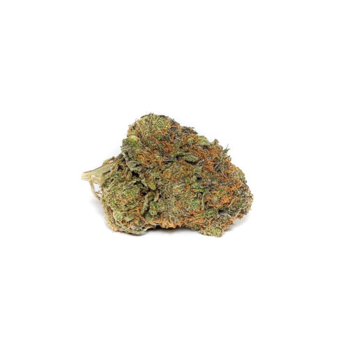 Buy Grease Monkey AAA Hybrid Strain Online Tale of Two Strains