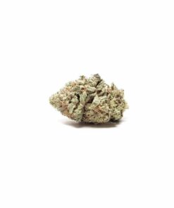 Buy Snow White Weed Online