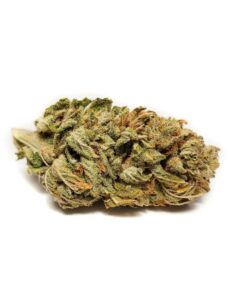 Buy Blue Haze Weed Online