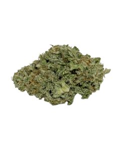 Buy AAA Great White Shark Sativa Cannabis Bulk Weed Deals Bulk Sale Online