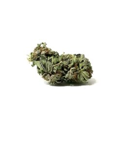 Buy Cinderella weed online