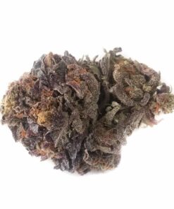 Buy Purple Haze Weed Online