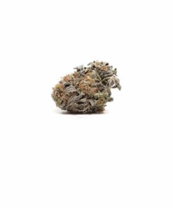 Buy Platinum Cookies Weed Online