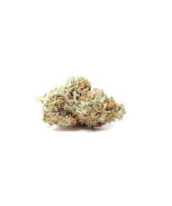 Buy White Berry Strain Online