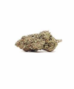 Buy Superglue Weed Online