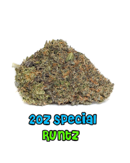 2 oz Special | Runtz | AAAA | Hybrid