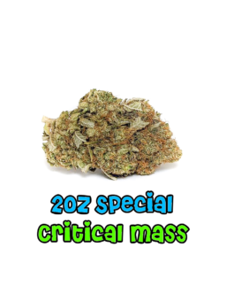 2 oz Special | Critical Mass | AA+ | Indica