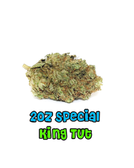 2 oz Special | King Tut | AAA | Sativa