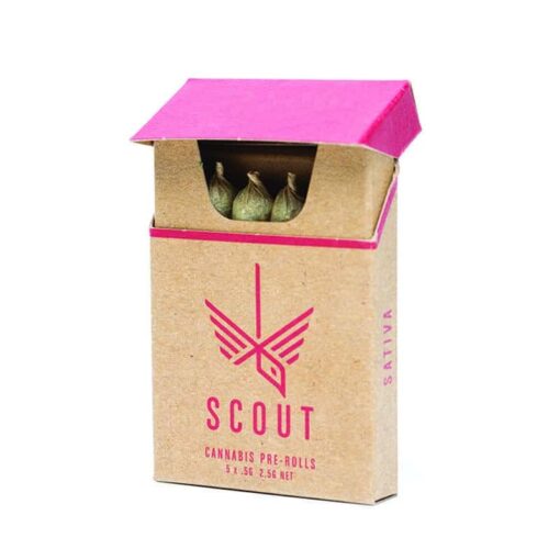 Buy Scout Pre-roll Weed Joints Online