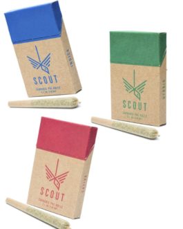 Scout | Pre-roll Joints | 2.5g