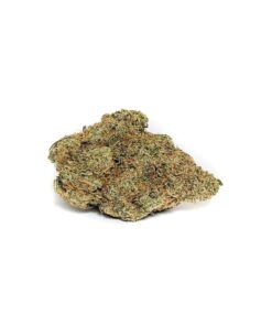 Buy AAA White Truffle Hybrid Cannabis Weed Online