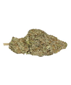 Buy AAA+ White Truffle Hybrid Cannabis Weed Bulk Deals Sale Online