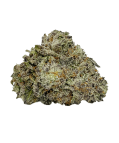 Buy Premium Top Shelf Quality White Truffle AAA+ Hybrid Cannabis Weed Deals Sale Bulk Online