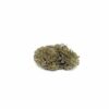 Buy Hash Plant Indica Weed Online