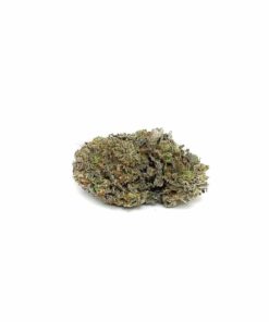 Buy Hash Plant Indica Weed Online