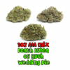 Buy AAA Weed Deals Online