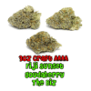 Buy AAAA Craft Cannabis Weed Online
