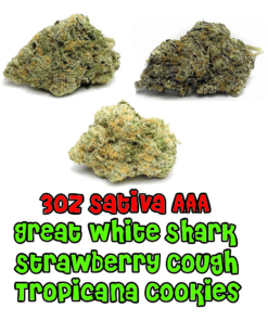 Buy AAA Sativa Weed Online