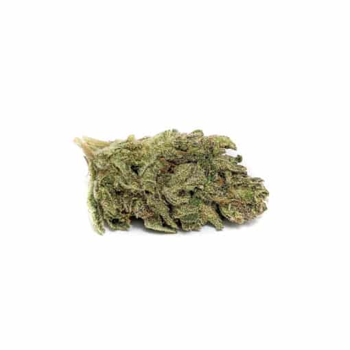 Buy AA Laughing Buddha Sativa Cannabis Bulk Weed Deals Sale Online