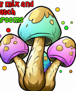 Buy Psilocybin Mushrooms Mix and Match Deals Online