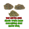 Buy Cheap AAAA Sativa Cannabis Weed Deals Online