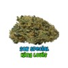 Buy Premium Top Shelf Quality AAA Indica Cannabis Weed Deals Sale Bulk Online