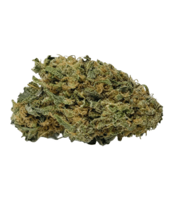 Buy Premium Top Shelf Quality AAA Indica Cannabis Weed Deals Sale Bulk Online