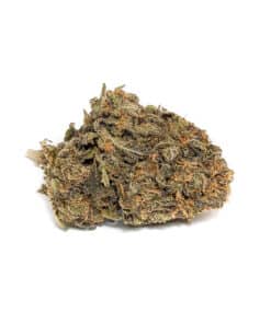 Buy AAA+ King Louis Indica Cannabis Weed Bulk Deals Online
