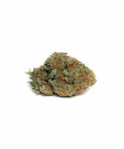Buy AAA Sonic Screwdriver Sativa Cannabis Bulk Weed Online