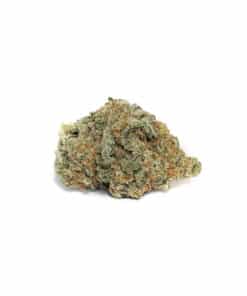 Buy AAA+ Super Jack Sativa Cannabis Bulk Weed Online