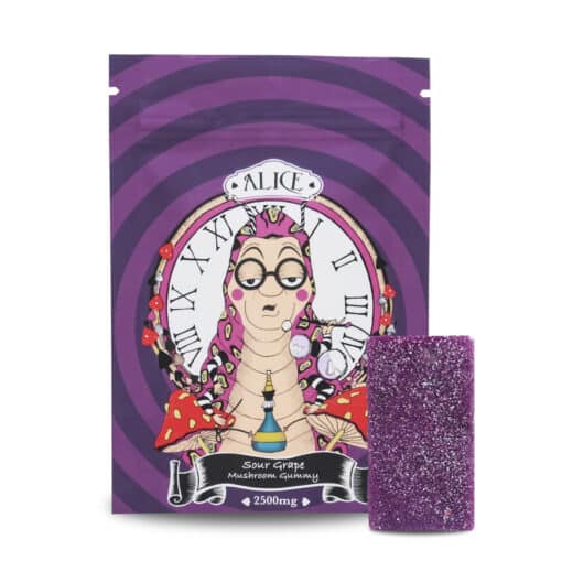 Buy Alice Psilocybin Magic Mushroom Shroom Gummies Edibles Deals Sale Online