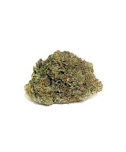 Buy AAA Silverback Gorilla Indica Cannabis Bulk Weed Online