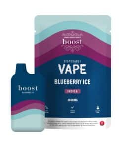 Buy Boost Blueberry Ice 3g 3000mg THC Distillate Vape Online