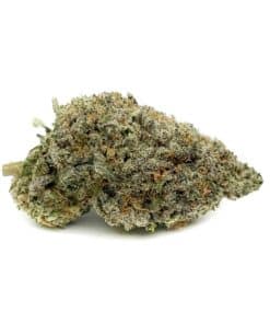 Buy AAAA Apple Fritter Hybrid Cannabis Bulk Weed Online