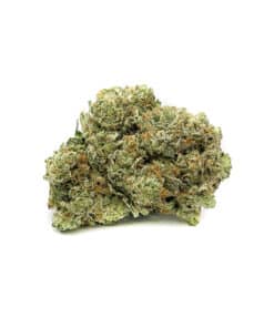 Buy AAAA Zombie OG Indica Cannabis Weed Bulk Deal Online