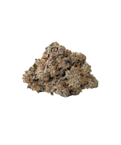 Buy AAAA+ Jealousy Hybrid Cannabis Weed Bulk Deals Sale Online