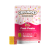 Buy Grounded High Dose Bricks Fruit Fiesta 1500mg Cannabis Weed Edibles Gummies Online