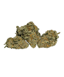 Buy AAAA Grease Monkey Hybrid Cannabis Weed Bulk Deals Sale Online