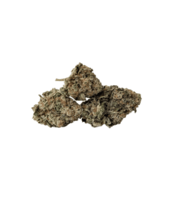 Buy AAAA Chemdawg popcorn hybrid Cannabis Weed Bulk Deals Sale Online