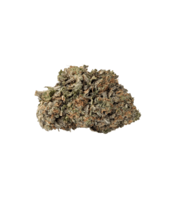 Buy AAA Jet Fuel Gelato Hybrid Cannabis Weed Bulk Deals Sale Online