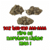 Buy Premium Quality Top Shelf AAAA Hybrid Indica Craft Cannabis Weed Deals Sale Online